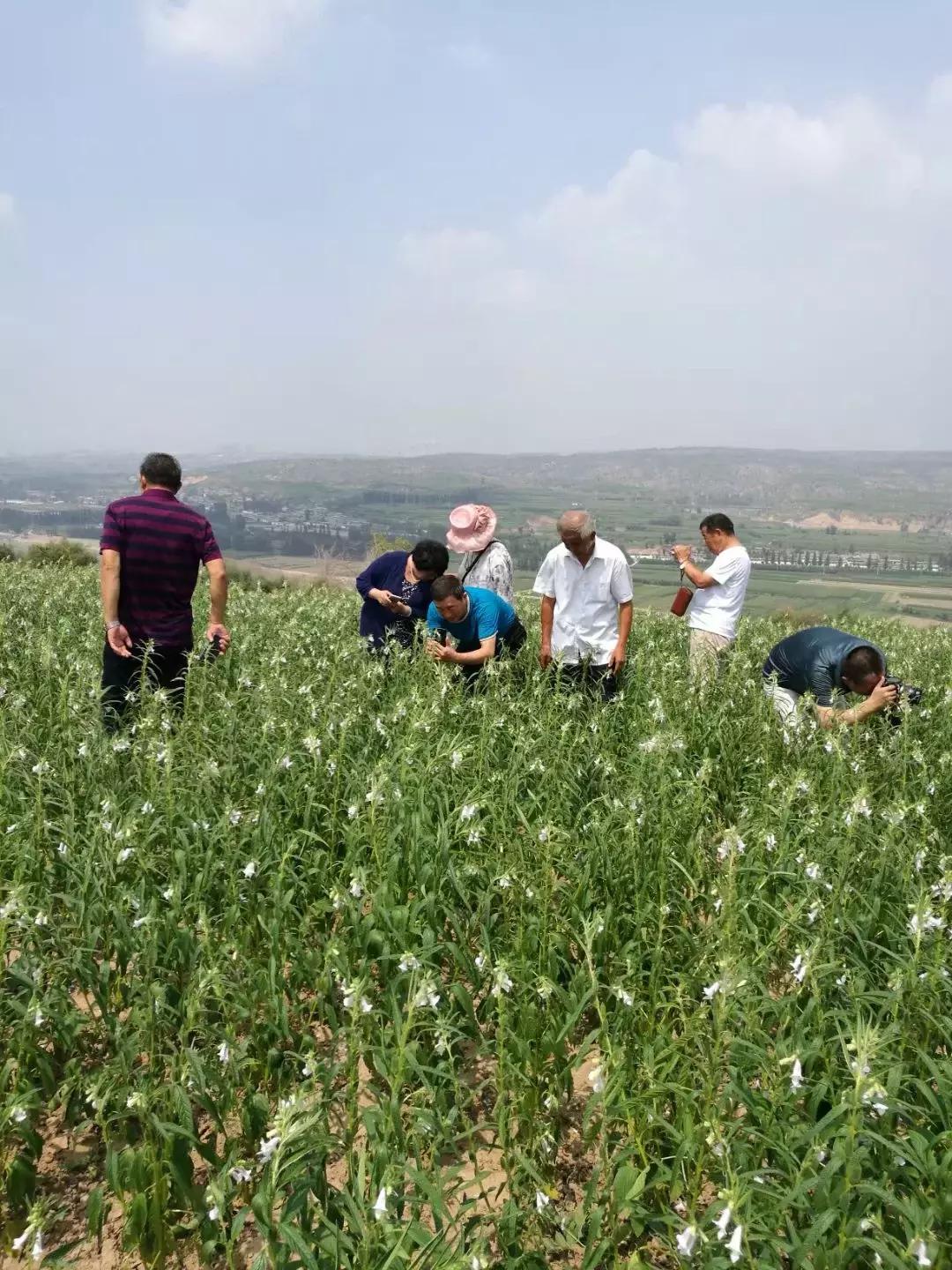 土地庙龙王庙开光仪式文字,城隍开光典礼