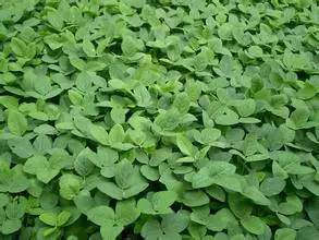 农村种地大实话顺口溜男声版,农村种地顺口溜句句扎心