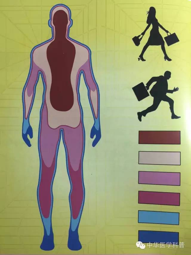 中暑急救常识大全,猫咪中暑的急救常识