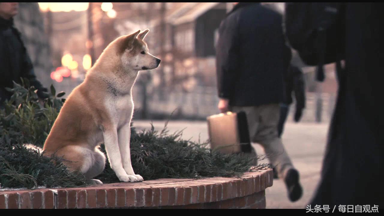 有了孩子的我，以后希望孩子看正能量影视剧！粉正能量明星！