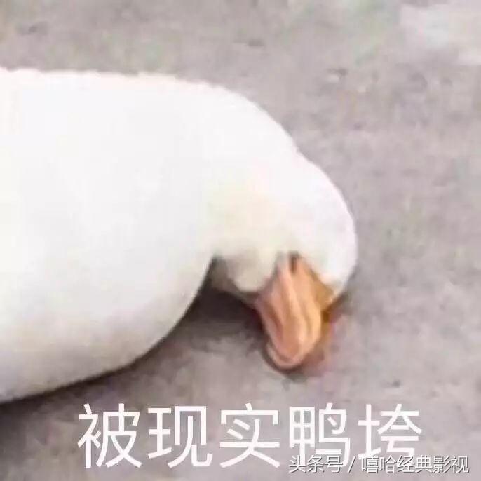 花光10个亿的条件,花光十个亿的流程
