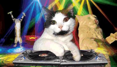 网红面膜最好用的是哪一款,9款网红面膜亲身测评