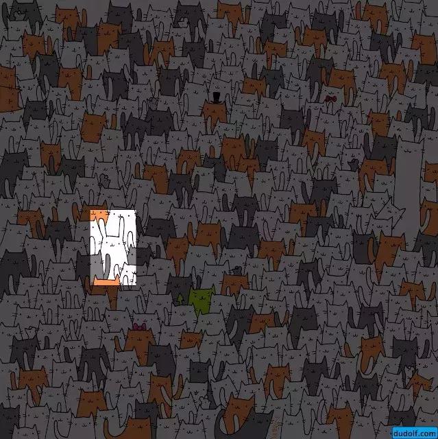 趣味测试你眼睛里有什么动物,趣味测试找熊