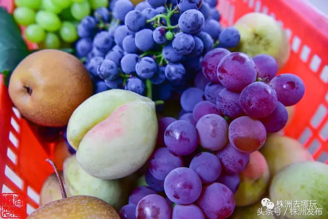 株洲好玩的生态园,株洲玩的地方推荐动物园