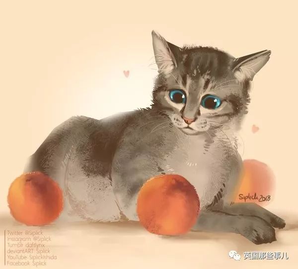 喵星人沉迷吸桃不能自拔……嗯……连颗桃子都有猫了啊！