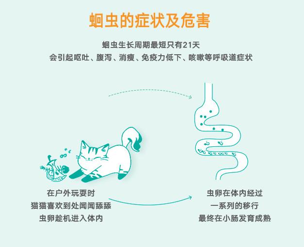 猫咪常用驱虫药及其功效