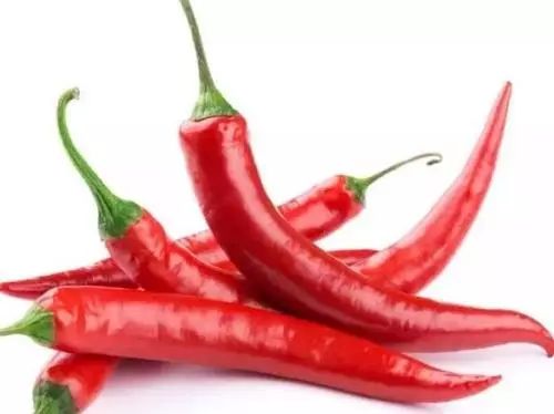 全世界最有营养100种食物排行榜,最有营养食物100种