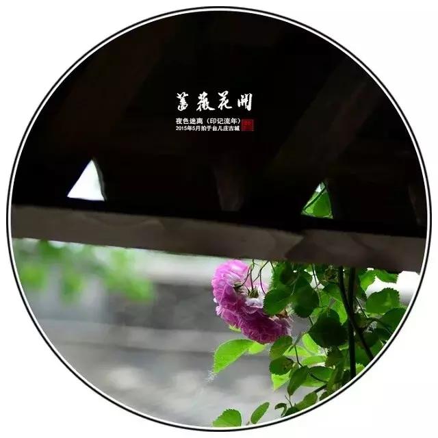 前缘如梦听书全集,前缘如梦小说全名