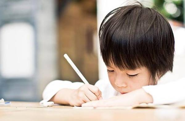 常见的汉字书写规则小学生,汉字书写顺序示意图