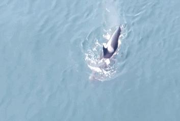 妈妈我还不想睡觉歌词字幕,妈妈我还活着