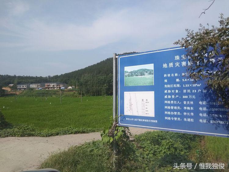 张光春最新视频,张光春钟祥