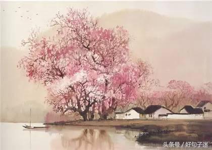 徐志摩诗歌语录,徐志摩的句子经典语录有哪些