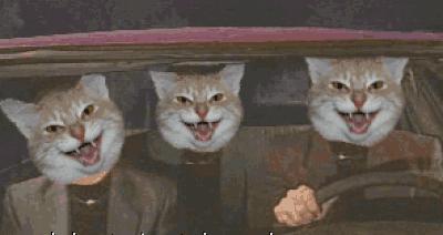 白天被查出酒驾！司机委屈巴巴：我没喝酒啊……