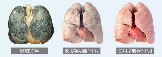 香烟中有对人体有益的物质吗,净烟器真的有效果吗