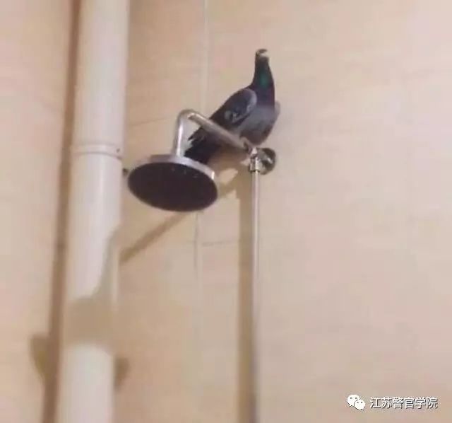 2022级新生报到入学须知,2019级新生入学条件