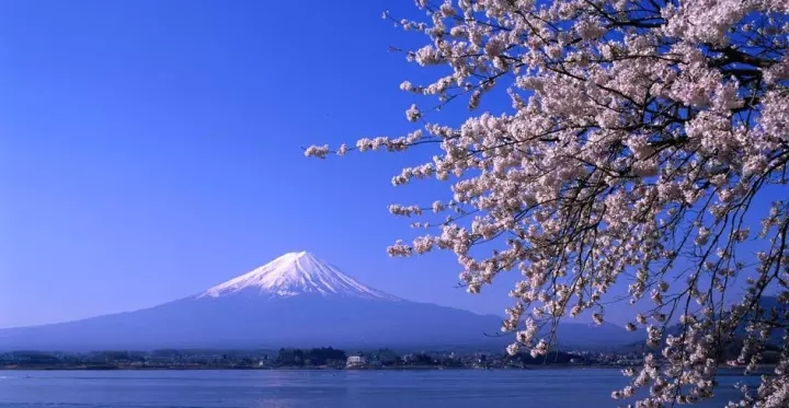 土耳其汇率大跌怎么赚钱,土耳其货币暴跌对a股的影响