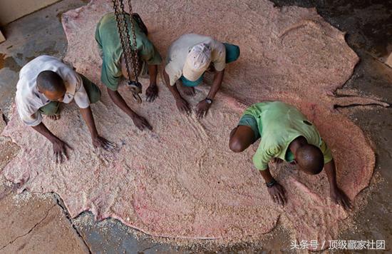 犀牛角对比图片,原生犀牛角的特征与图片