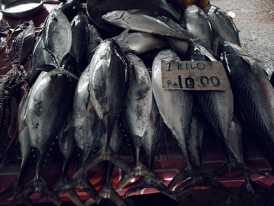 去柬埔寨自由行攻略视频,柬埔寨5天游自由行攻略