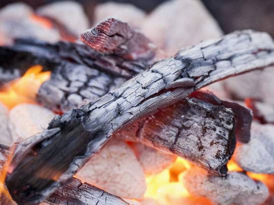 曝光6个适合农村人致富项目,农村特种种植致富项目有哪些