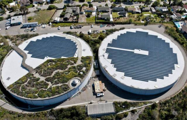 曝光6个适合农村人致富项目,农村特种种植致富项目有哪些