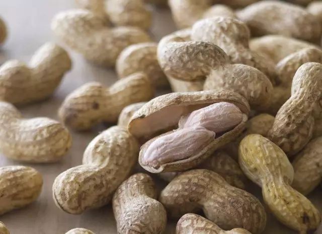 曝光6个适合农村人致富项目,农村特种种植致富项目有哪些