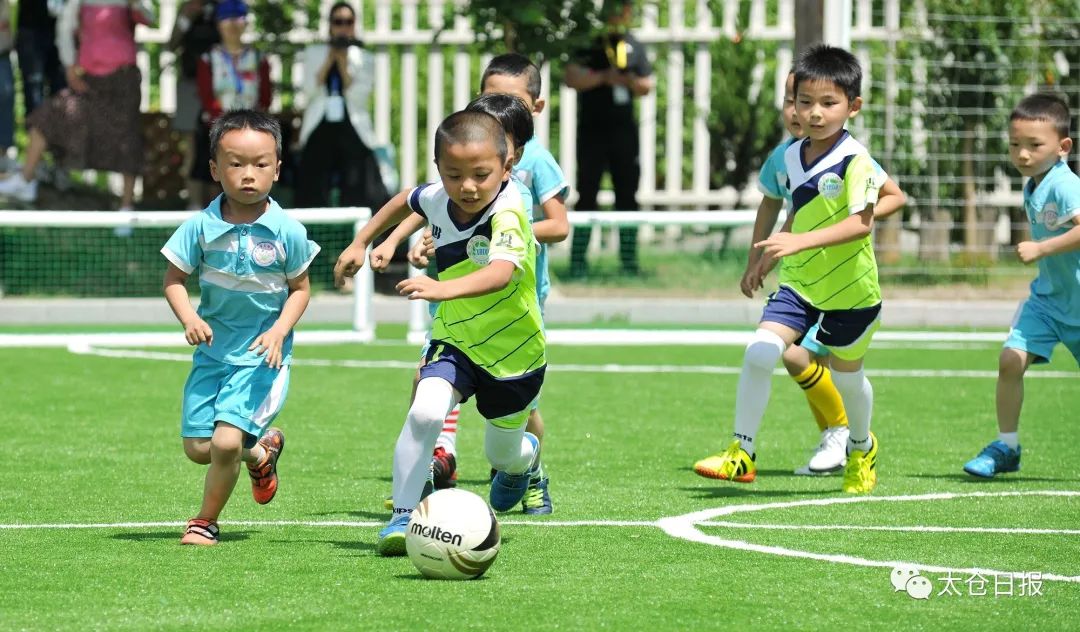 太仓已有14所学校斩获这项“国字头”荣誉！有没有你的母校？
