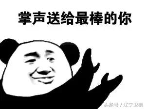 鞍山钢都介绍,鞍山是什么钢都