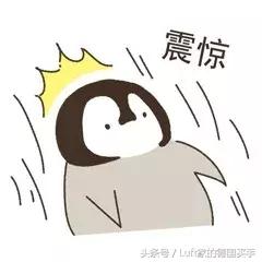 LuftC2CNews｜什么？全世界奢侈品超便宜的购买地竟然是这里！