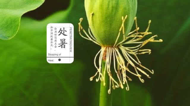 处暑了饮食注意什么,处暑过后饮食注意事项