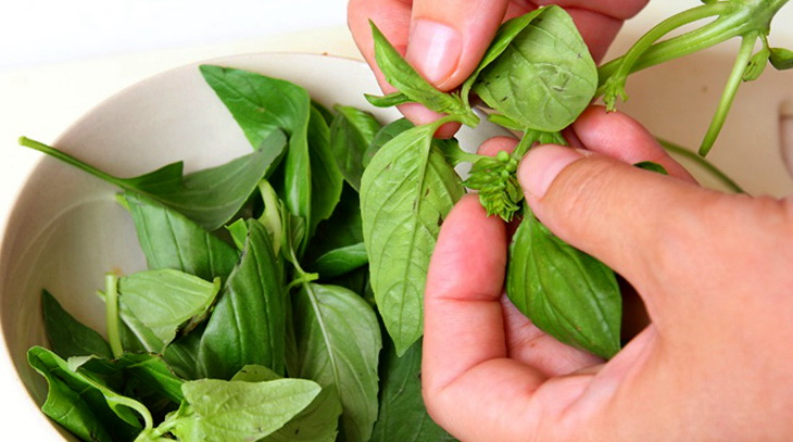 蛏子贝壳类海鲜,贝类海鲜有哪些毛蚶