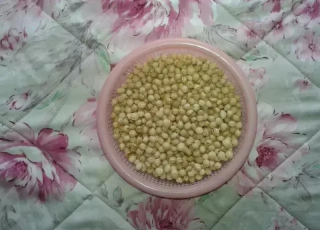 吃完樱桃剩下的籽能种吗怎么种,大樱桃核吃到肚子里有什么危害