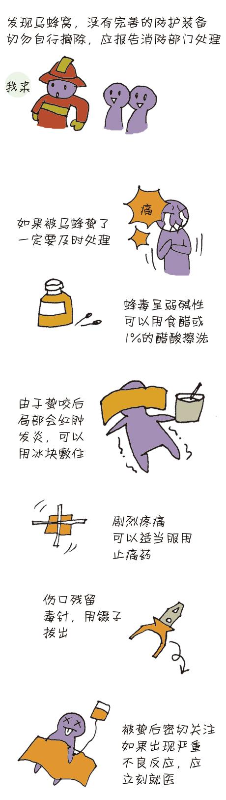 马蜂蛰了怎么办漫画,被马蜂蛰了的图片