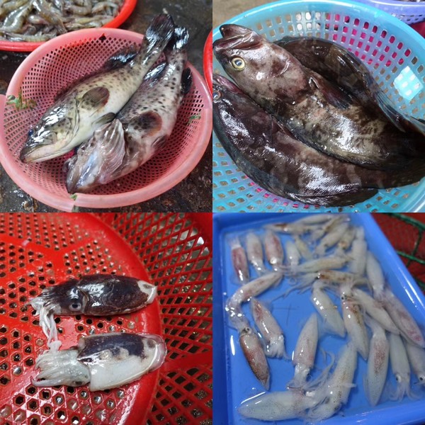 福建东山岛风动石景区视频,漳州东山县风动石景区介绍