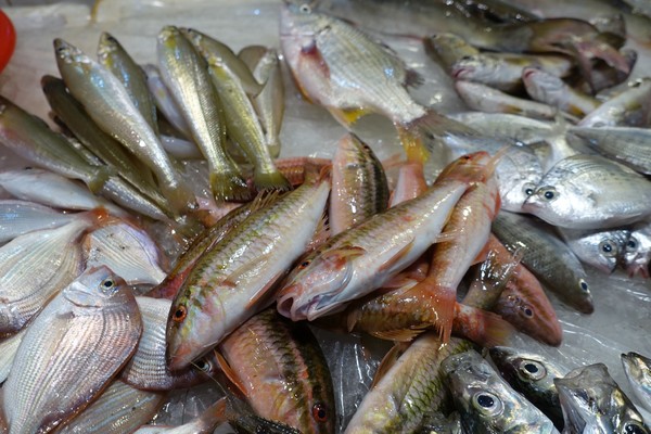 福建东山岛风动石景区视频,漳州东山县风动石景区介绍