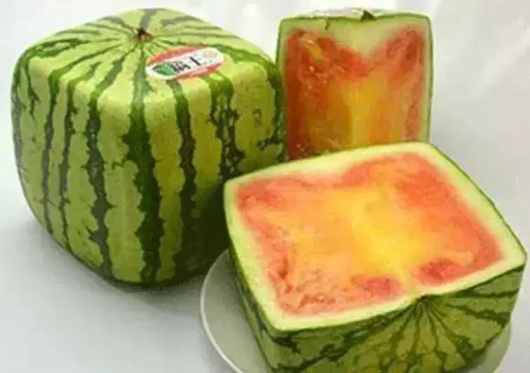 4种最好吃的日本美食,最让中国人惊呆的日本美食