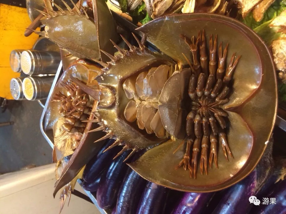 厦门这几天人气,厦门不得不去的理由