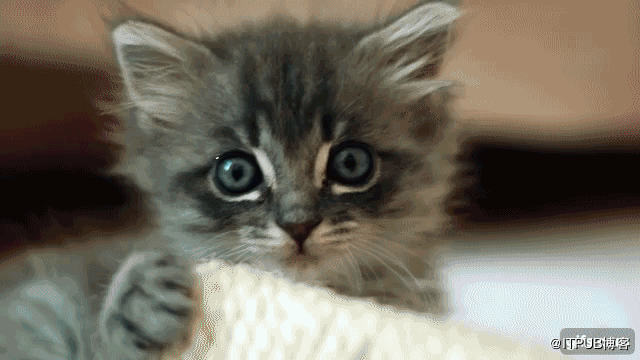 python爬虫与jupyter数据分析,如何学习python数据分析和画图