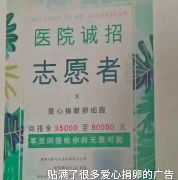 女孩捐卵被骗案例,捐卵子骗局案例