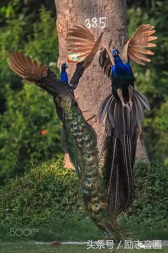 综合知识78集，赶紧保存，早晚用得上！