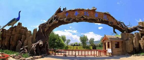 嘉峪关门票对教师优惠政策,嘉峪关市教师节旅游优惠政策