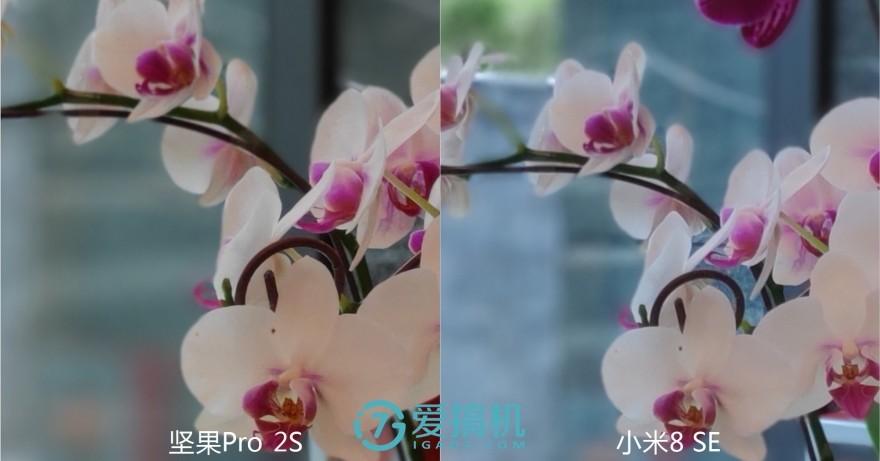 坚果pro2s现在还值得入手吗,坚果pro2s现在值得买么