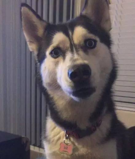 拼多多有什么技巧选款,拼多多新手要如何选款