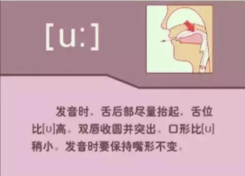 音标教学视频48个,夏沫英语48个音标教学视频