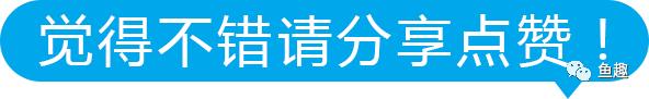 细菌屋怎么摆放最科学,细菌屋怎么摆合适