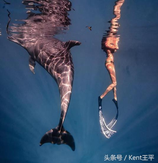 帕劳海底图片大全,帕劳海底世界旅游