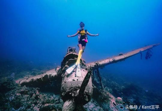 帕劳海底图片大全,帕劳海底世界旅游