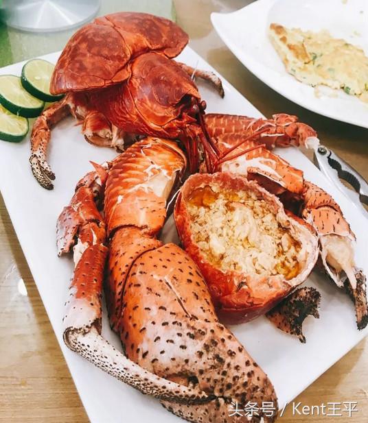 帕劳海底图片大全,帕劳海底世界旅游