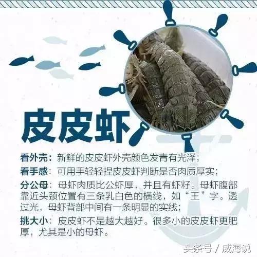 炫富卖海鲜的,威海开海去哪买海鲜