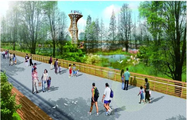 青岛市西海岸中央公园图片,青岛新建公园效果图