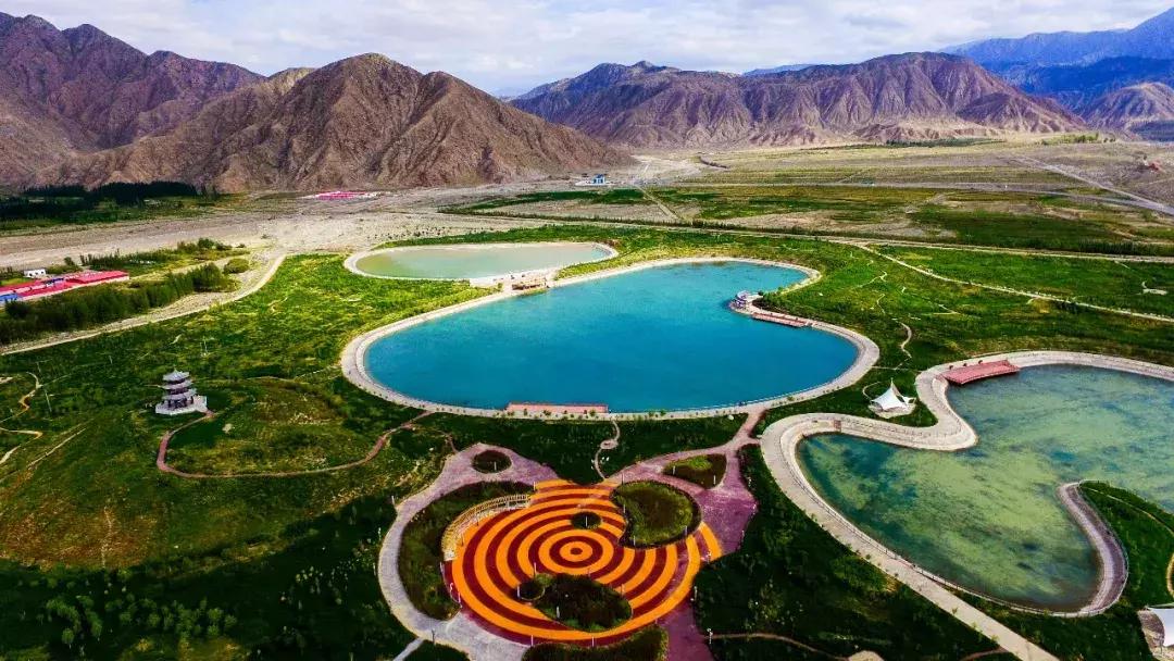 肃北：8月，我和七彩花田有个约会，一半是花海，一半是……